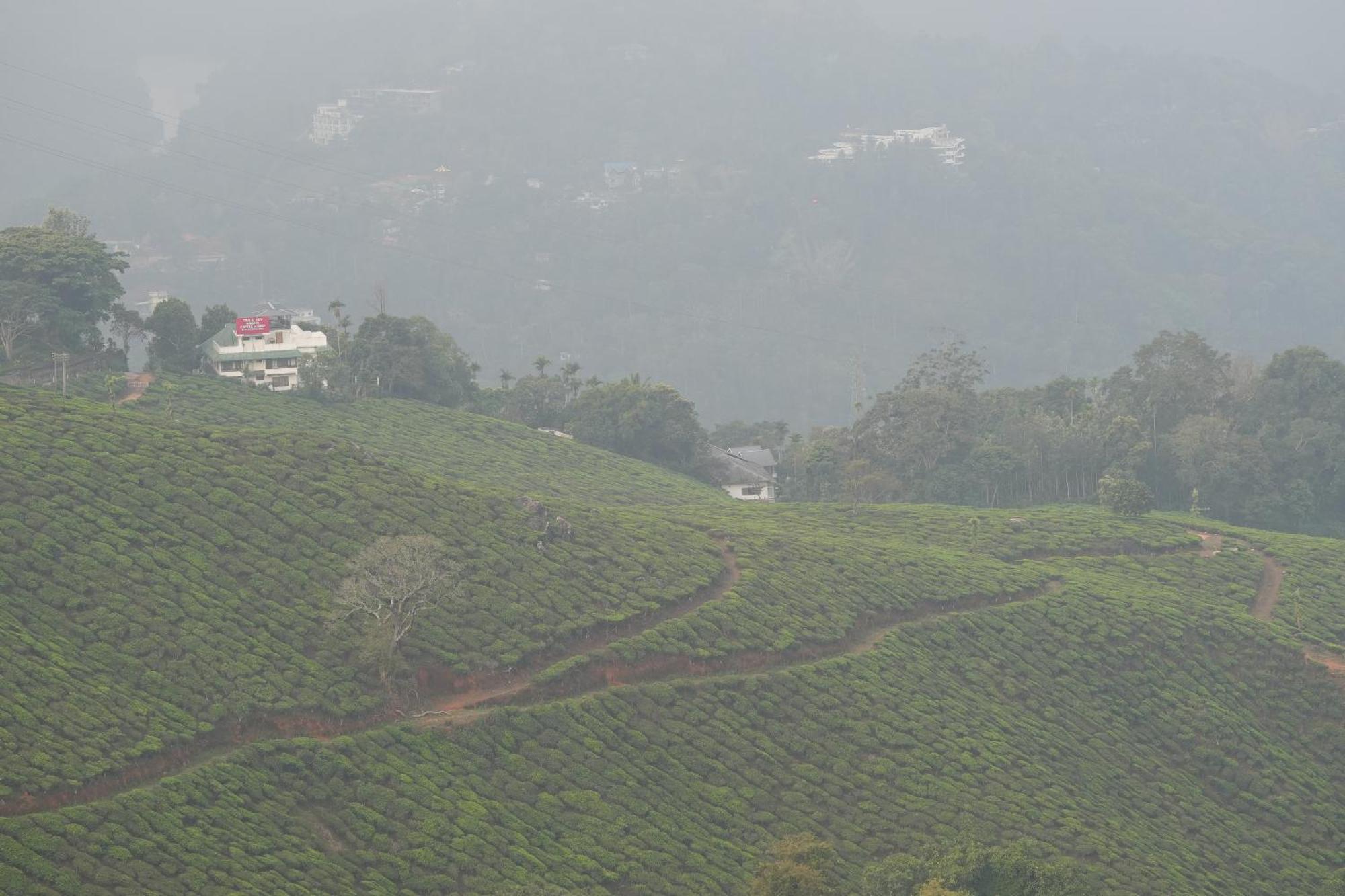 Misty Bush Munnar Acomodação com café da manhã Exterior foto